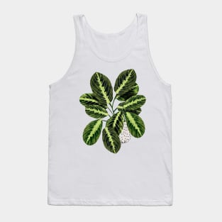 Maranta interior Plant Tank Top